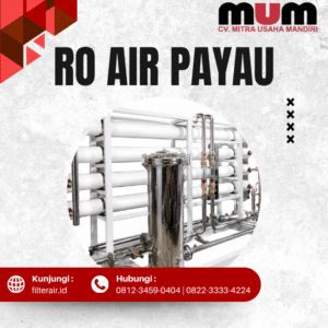 RO Air Payau