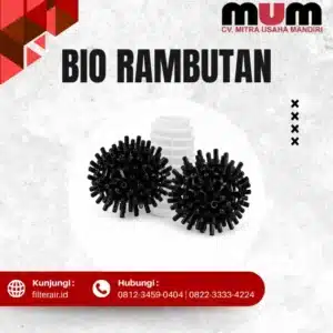 Bio Ball Rambutan