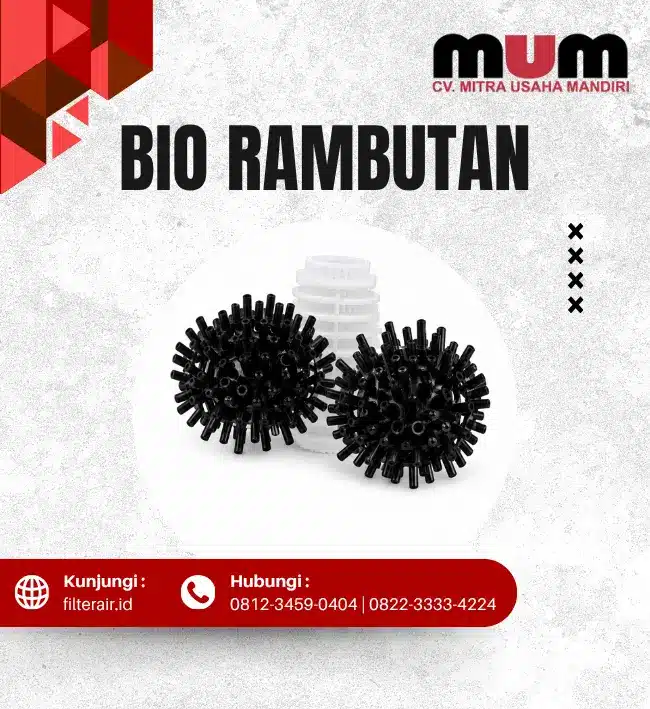 Bio Ball Rambutan
