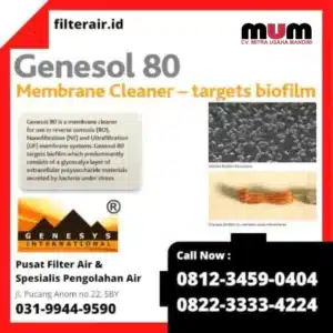 Biofilm Cleaner Genesol80 Alkaline