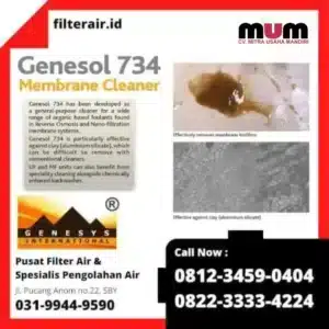 Membrane Cleaner Alkaline Genesol734