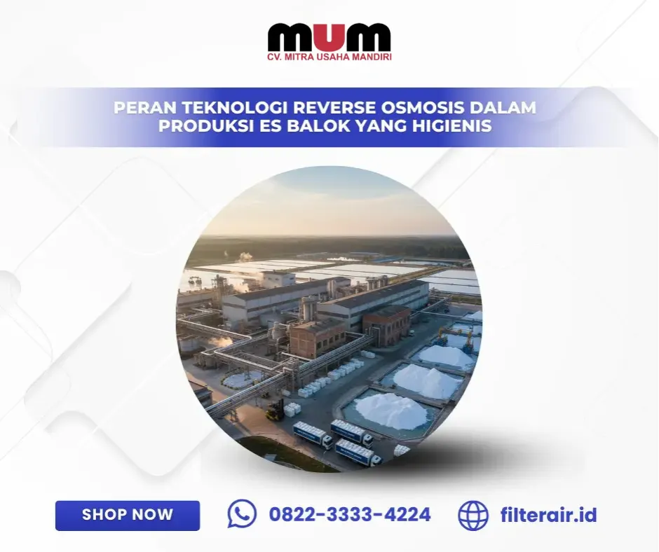 Peran Teknologi Reverse Osmosis dalam Produksi Es Balok yang Higienis