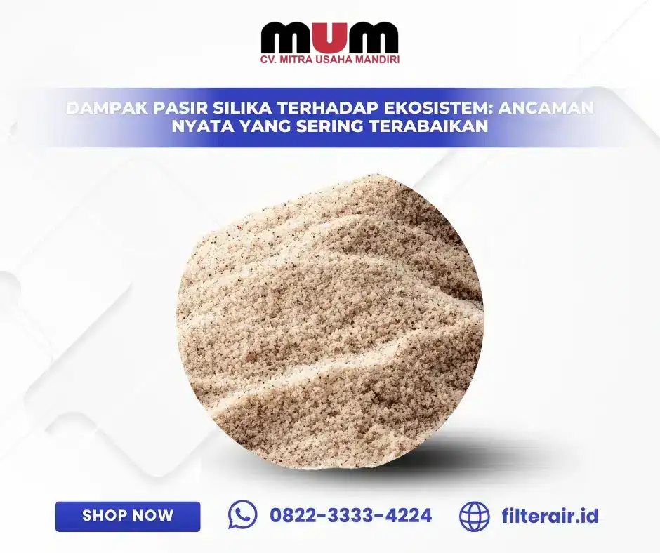 Dampak Pasir Silika terhadap Ekosistem: Ancaman Nyata yang Sering Terabaikan