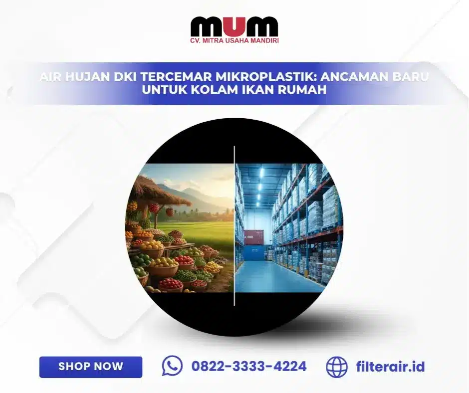 Pasir Silika Lokal vs Impor: Mana yang Paling Unggul?