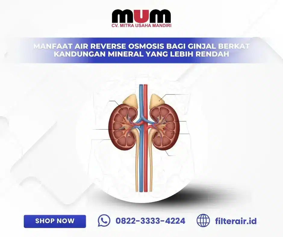 Manfaat Air Reverse Osmosis bagi Ginjal Berkat Kandungan Mineral yang Lebih Rendah
