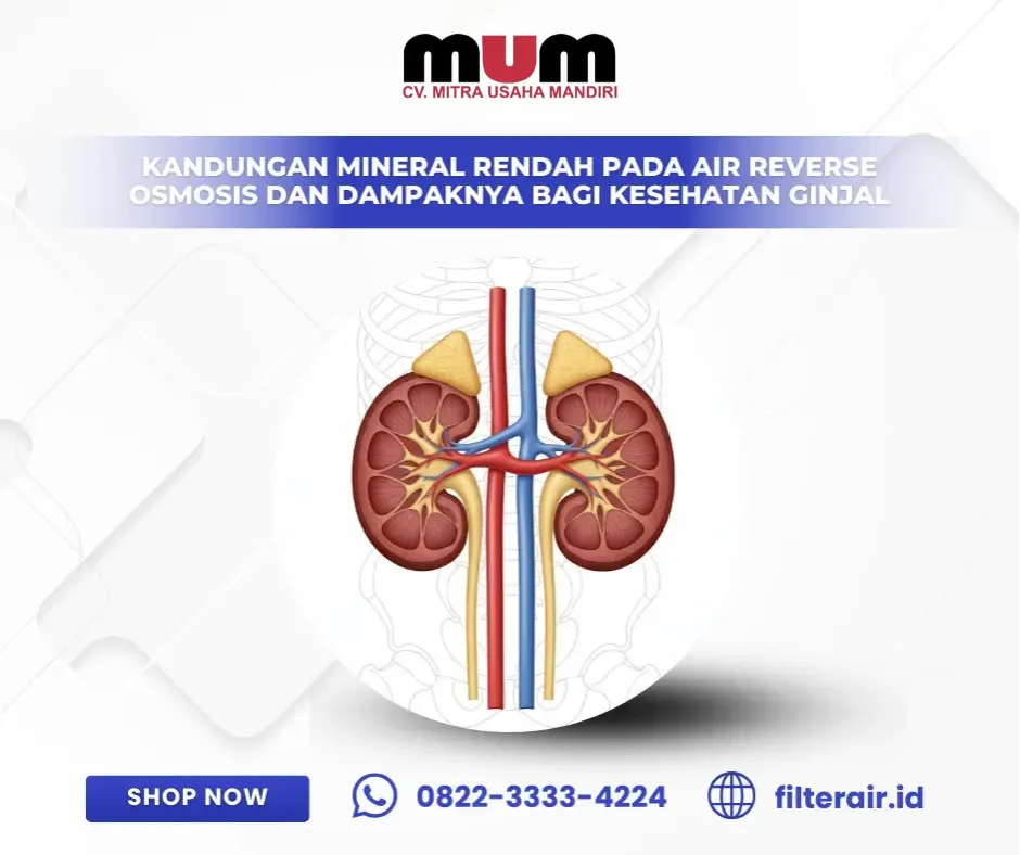 Kandungan Mineral Rendah pada Air Reverse Osmosis dan Dampaknya bagi Kesehatan Ginjal