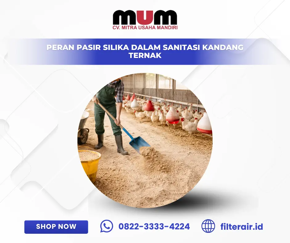 Peran Pasir Silika dalam Sanitasi Kandang Ternak
