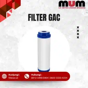 Cartridge Filter GAC