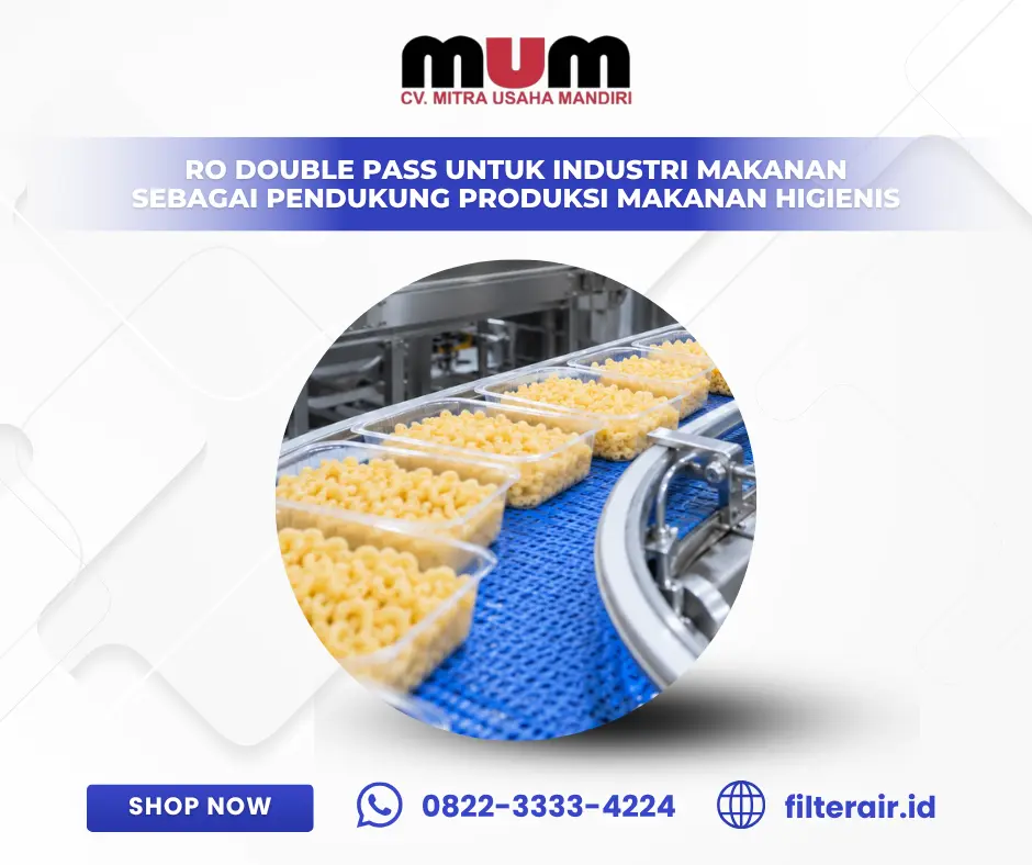 RO Double Pass untuk Industri Makanan sebagai Pendukung Produksi Makanan Higienis