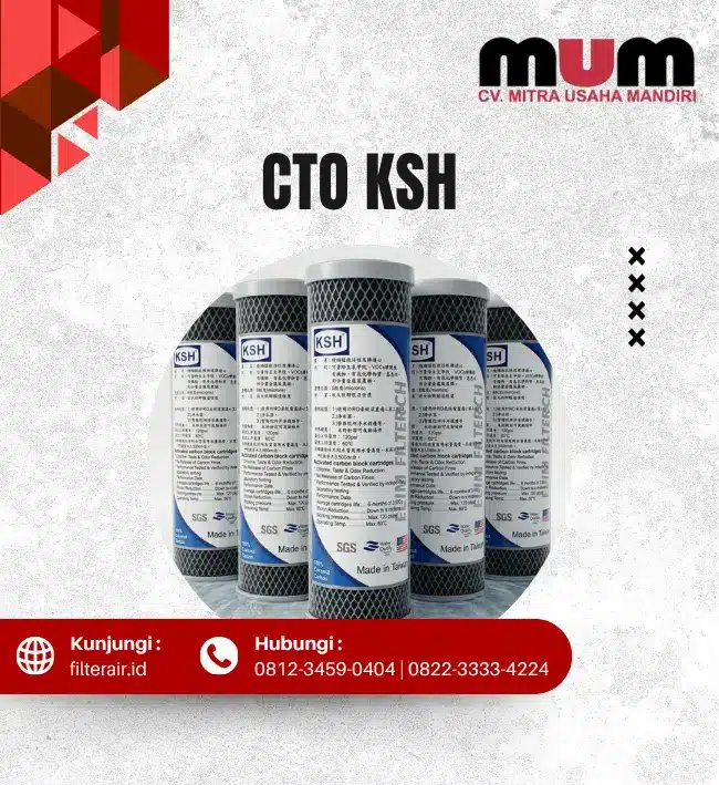 CTO KSH / Karbon Blok 10inch